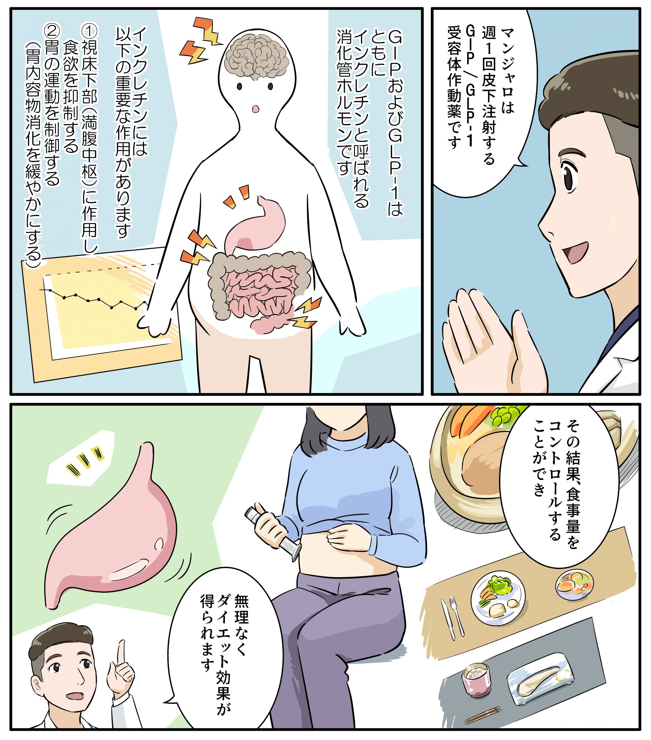 メディカルダイエット2